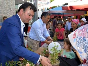 Germencik’te Çiçek Dağıtımı Dünyanın En Özel Çiçeklerine Yapıldı
