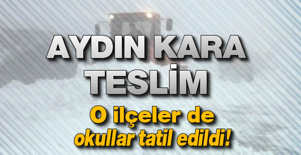 Aydın kara teslim