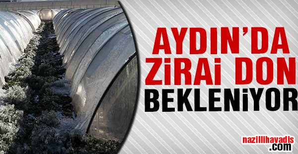 Aydın'da Zirai don bekleniyor!