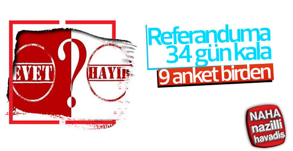 9 anket şirketinin referandum araştırması sonuçları