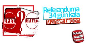 9 anket şirketinin referandum araştırması sonuçları
