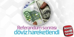 Referandum sonrası döviz
