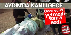 AYDIN'DA VAHŞET!