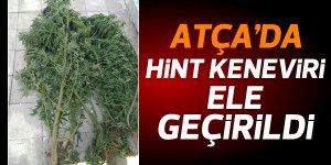 Atça'da başarılı operasyon