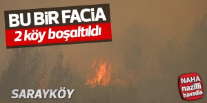 Denizli'de orman yangını