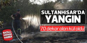 Sultanhisar'da 70 dekar alan kül oldu