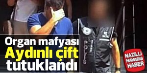Organ mafyası çift tutuklandı