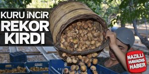 Kuru incirde 100 bin tona doğru
