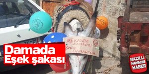 Arkadaşlarından damada 'eşek' şakası