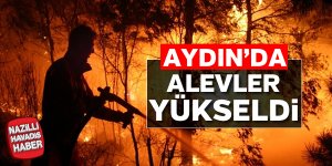 Aydın'da orman yangını