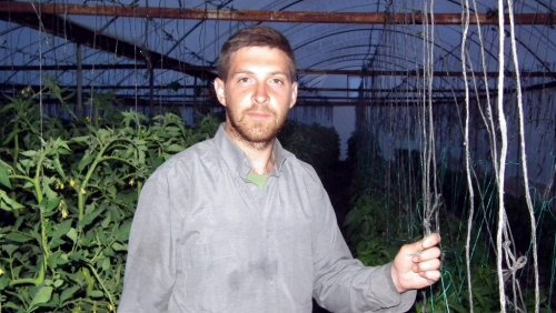 12 ay boyunca domates, biber ve salatalık üretiyor