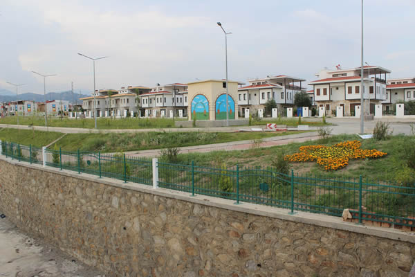 454.jpg