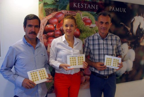 Aksu, ‘Aydın Kestanesi’ Coğrafi İşaretini Aldı