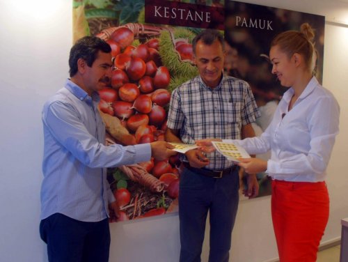Aksu, ‘Aydın Kestanesi’ Coğrafi İşaretini Aldı