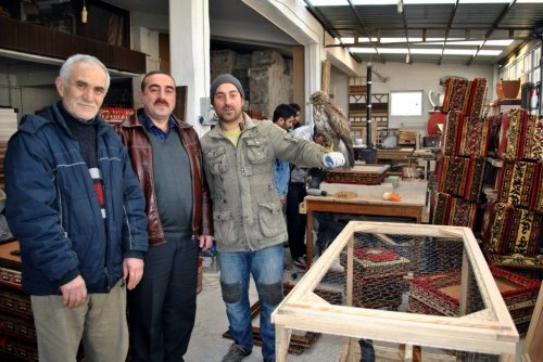 Atölyede Şahin Besliyor