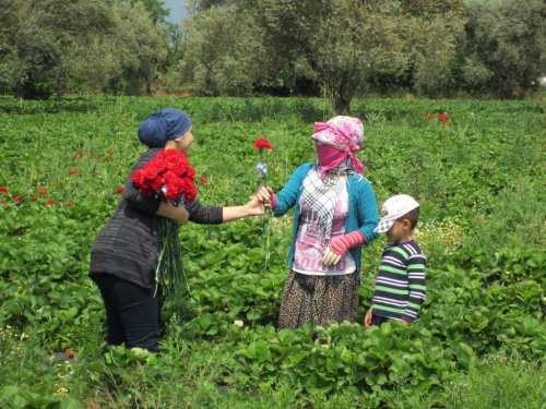 Aydın Büyükşehir Belediyesi Anneleri Unutmadı