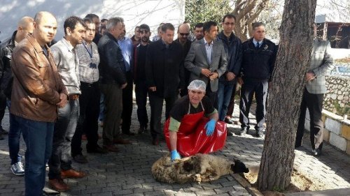 Aydın İl Emniyet Müdürlüğü kurban kesti