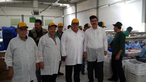 AYDIN İNCİRİ HER DERDE DEVA