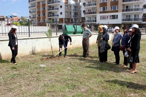 Aydın’da Dünya Astım Günü Ağaçlandırma Etkinliği Yapıldı