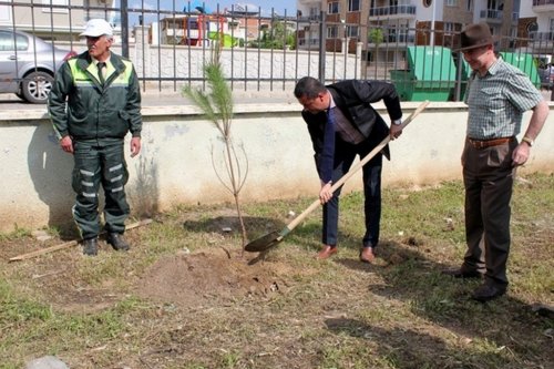Aydın’da Dünya Astım Günü Ağaçlandırma Etkinliği Yapıldı