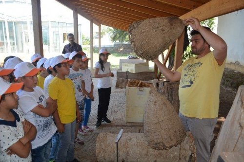 Aydın’da Lider Çocuk Tarım Kampı Yapıldı