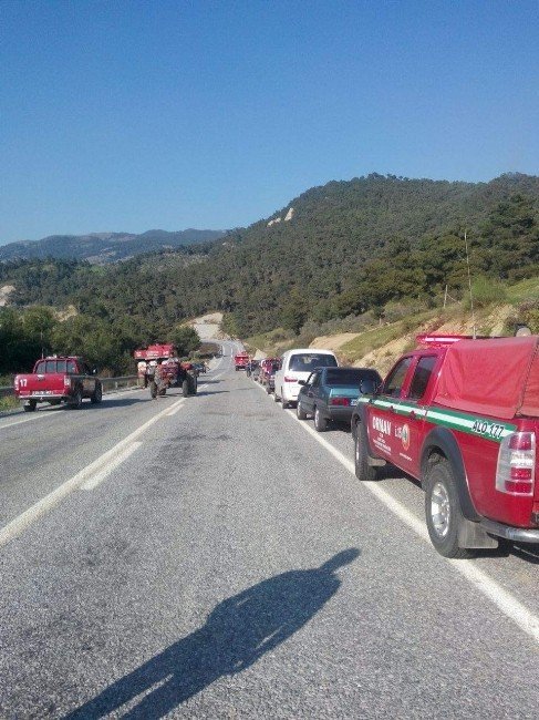 Aydın’da Ormanlık Alanda Yangın Paniği