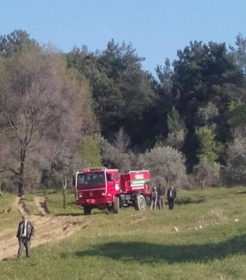 Aydın’da Ormanlık Alanda Yangın Paniği