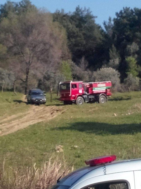 Aydın’da Ormanlık Alanda Yangın Paniği