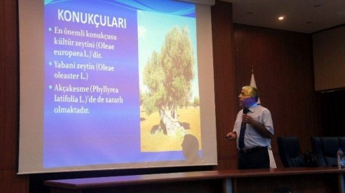 Aydın’da Zeytin Zararlılarıyla Mücadele Masaya Yatırıldı