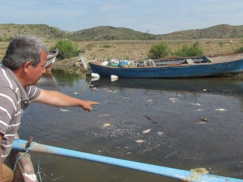Bafa yine 'SOS' vermeye başladı