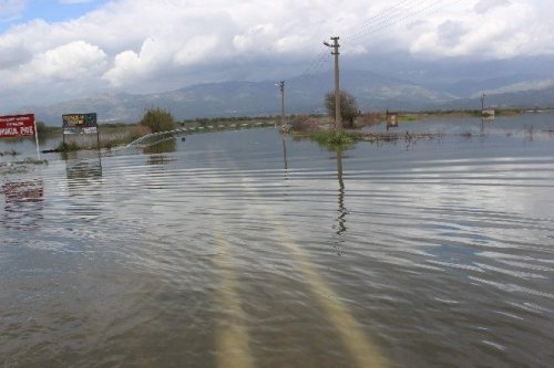 Barajların kapakları açılınca Aydın Ovası göle döndü