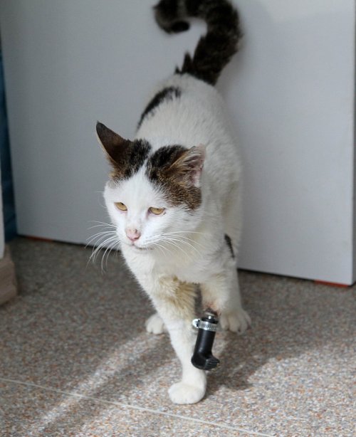 Başkan Durak’ın Çabası Dünyada Bir İlke İmza Attırdı