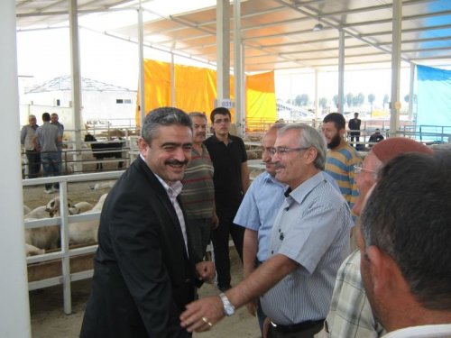 Belediye Başkanı Haluk Alıcık, Hayvan Pazarı'nı Gezdi