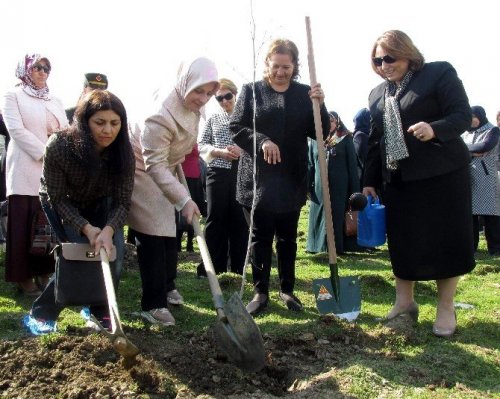 Bereket Ormanı’nda bin fidan toprakla buluştu