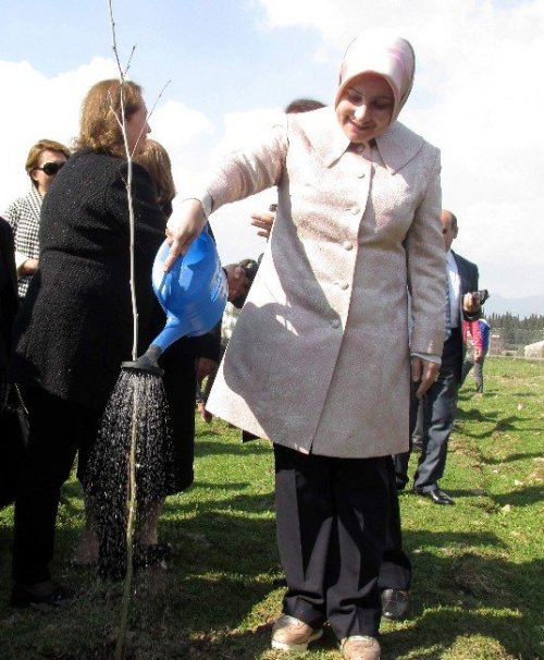 Bereket Ormanı’nda bin fidan toprakla buluştu