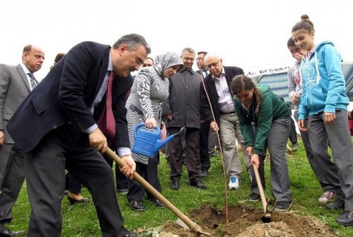 Bereket Orman'ında fidanlar toprakla buluştu