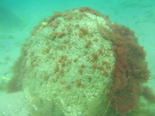 Çanakkale Boğazı'nda Şüpheli Cisim Bulundu