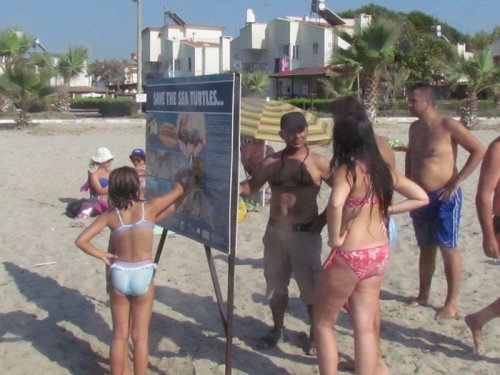 Caretta Carettaların Yavru Çıkışları Tamamlandı