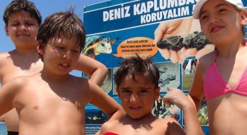 Caretta Carettaların Yavru Çıkışları Tamamlandı