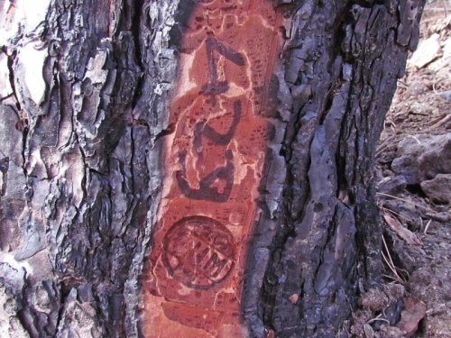 Çavdar Mahallesi'nde Maden Ocağı İsyanı