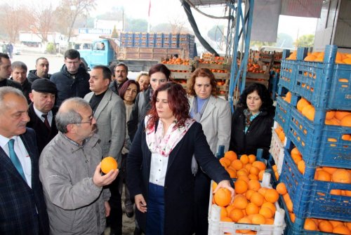 Çerçioğlu, elde kalan 52 ton portakalı satın aldı