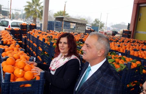 Çerçioğlu, elde kalan 52 ton portakalı satın aldı