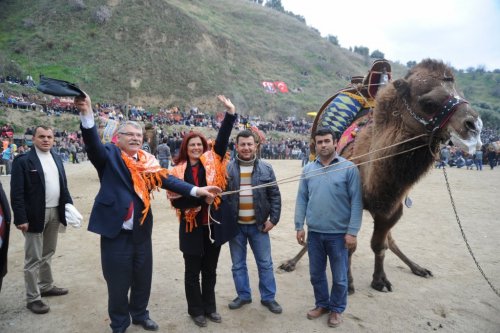 Çerçioğlu Kuyucak Deve Güreşlerine Katıldı