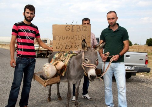 Çiftçilerden Eşekli Eylem