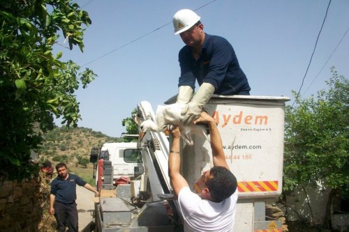 Çine'de Mahsur Kalan Leylekler Kurtarıldı