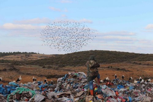 Çöplük'te Fotoğraf Sanatı