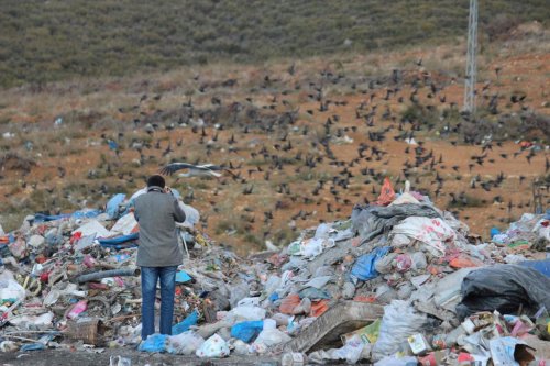 Çöplük'te Fotoğraf Sanatı