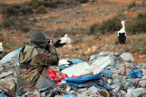 Çöplük'te Fotoğraf Sanatı