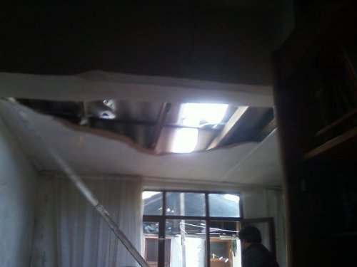 Damdan Yatak Odasına İnek Düştü