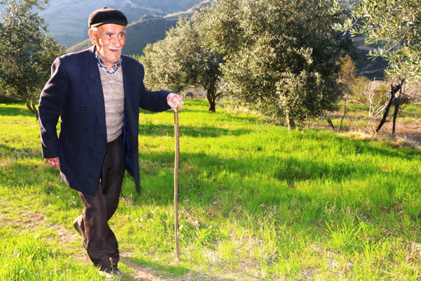 dha-nazilli-26032017-asirlik-cinar-(1).jpg